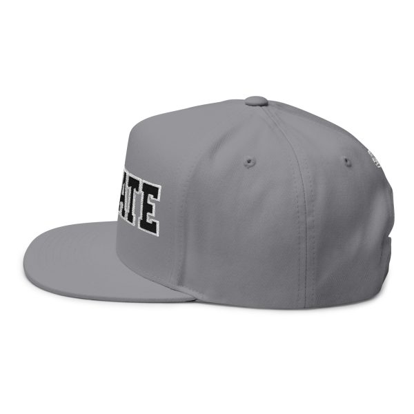 5009440251735719439_2048-2.jpeg Thee Shirts J-State Navy Embroidered Bill Cap